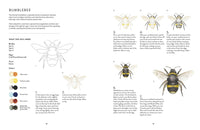 Birds, Bees & Blossoms