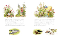 A Year in Our New Garden