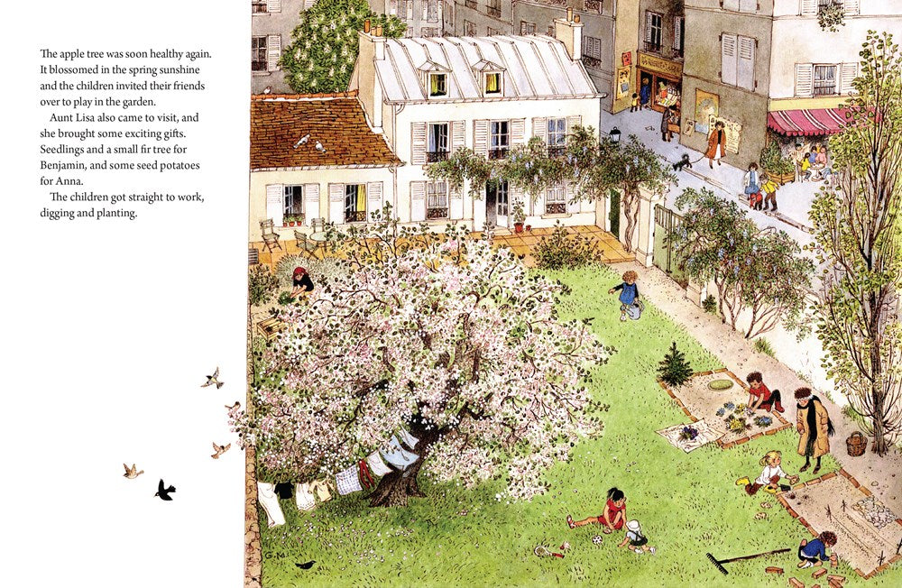 A Year in Our New Garden