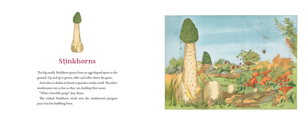 Tales of the Mushroom Folk