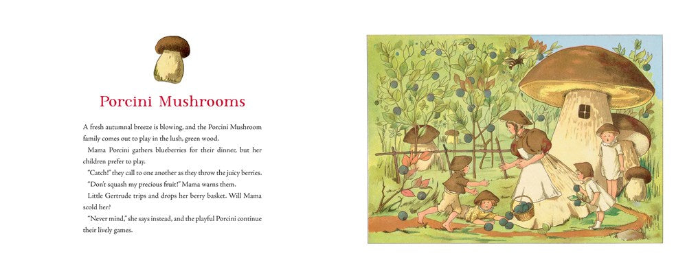 Tales of the Mushroom Folk