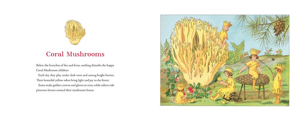 Tales of the Mushroom Folk