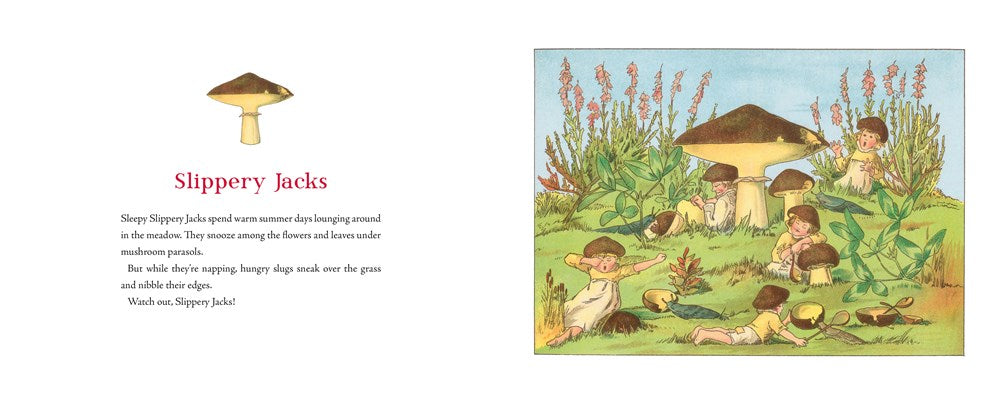 Tales of the Mushroom Folk