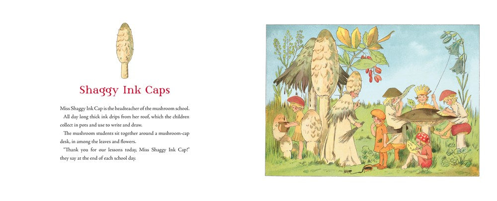 Tales of the Mushroom Folk