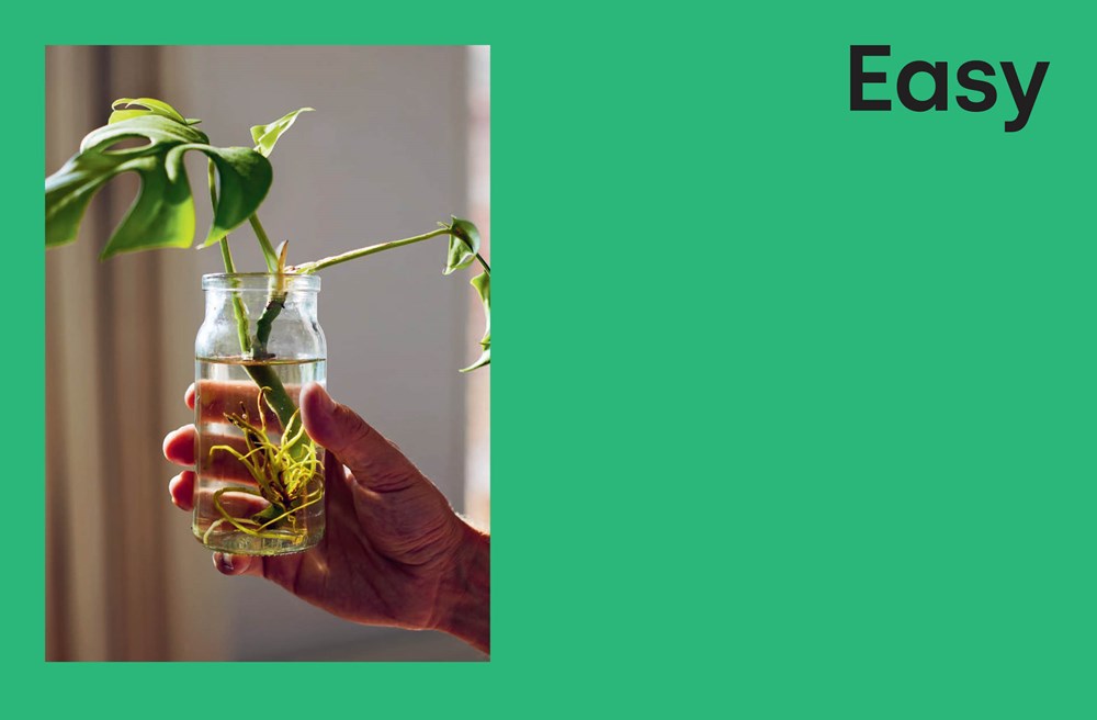 Propagate