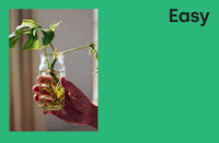 Propagate