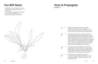 Propagate