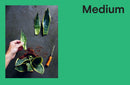 Propagate