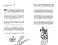 Around the World in 80 Trees