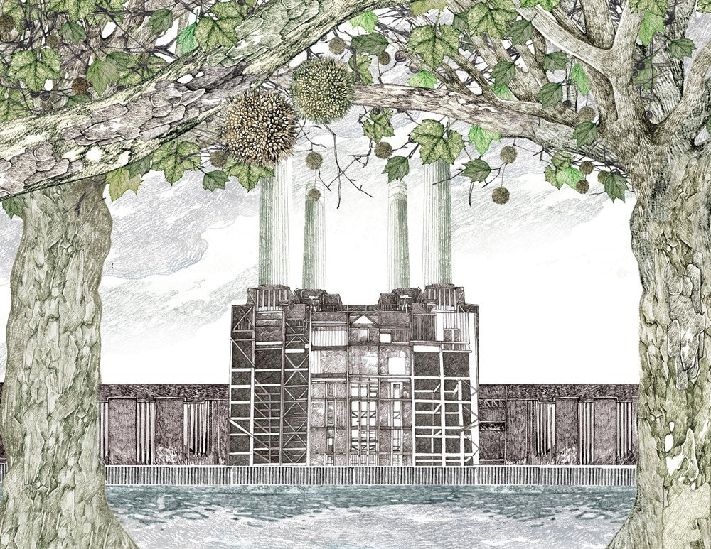 Around the World in 80 Trees