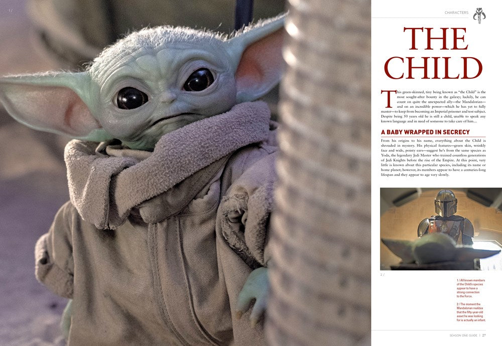 Star Wars: The Mandalorian: Guide to Season One