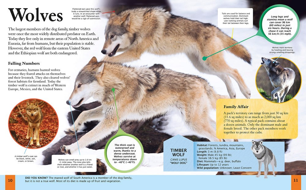 Children's Encyclopedia of Animals