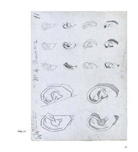 Charles Bargue and Jean-Leon Gerome