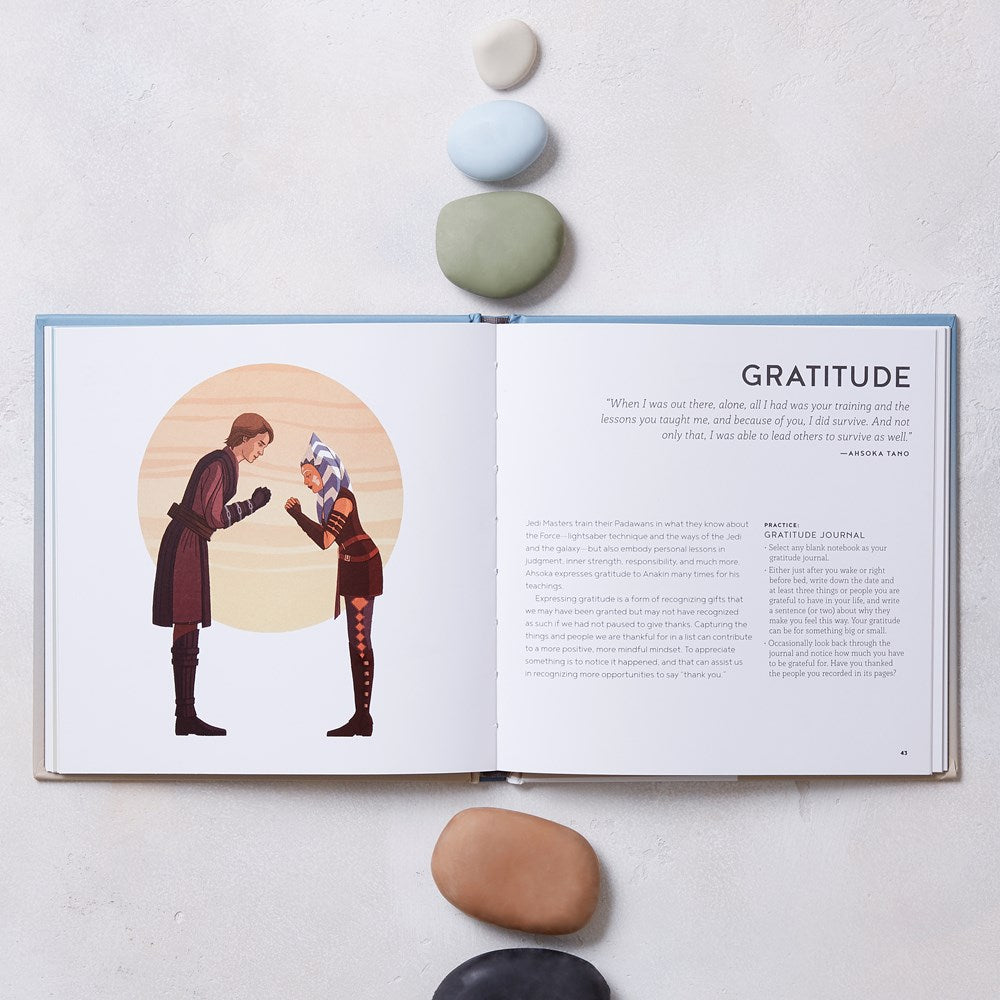 Star Wars The Jedi Mind