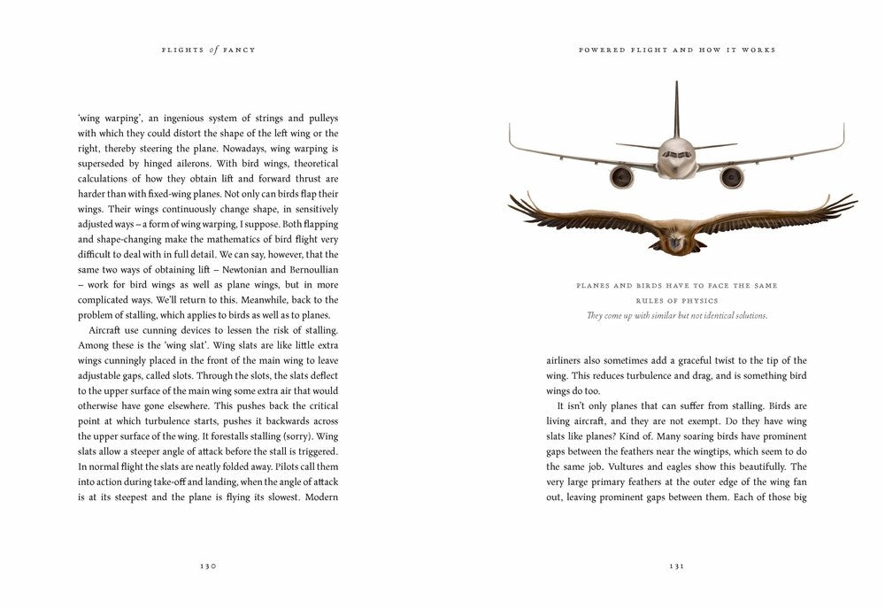 Flights of Fancy