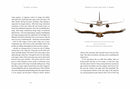 Flights of Fancy