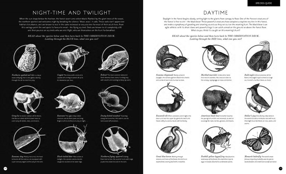 Illuminature