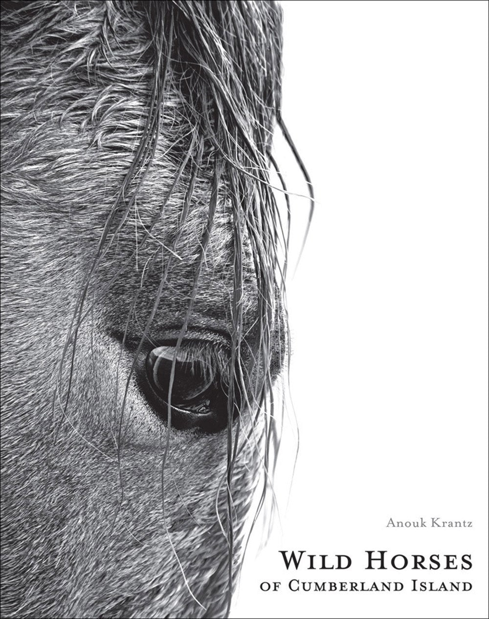 Wild Horses of Cumberland Island  (2nd Edition)