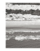 Wild Horses of Cumberland Island