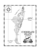 Wild Horses of Cumberland Island