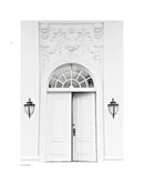 Wild Horses of Cumberland Island