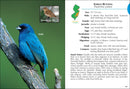 Birds of New Jersey Field Guide