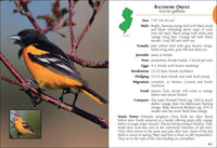 Birds of New Jersey Field Guide