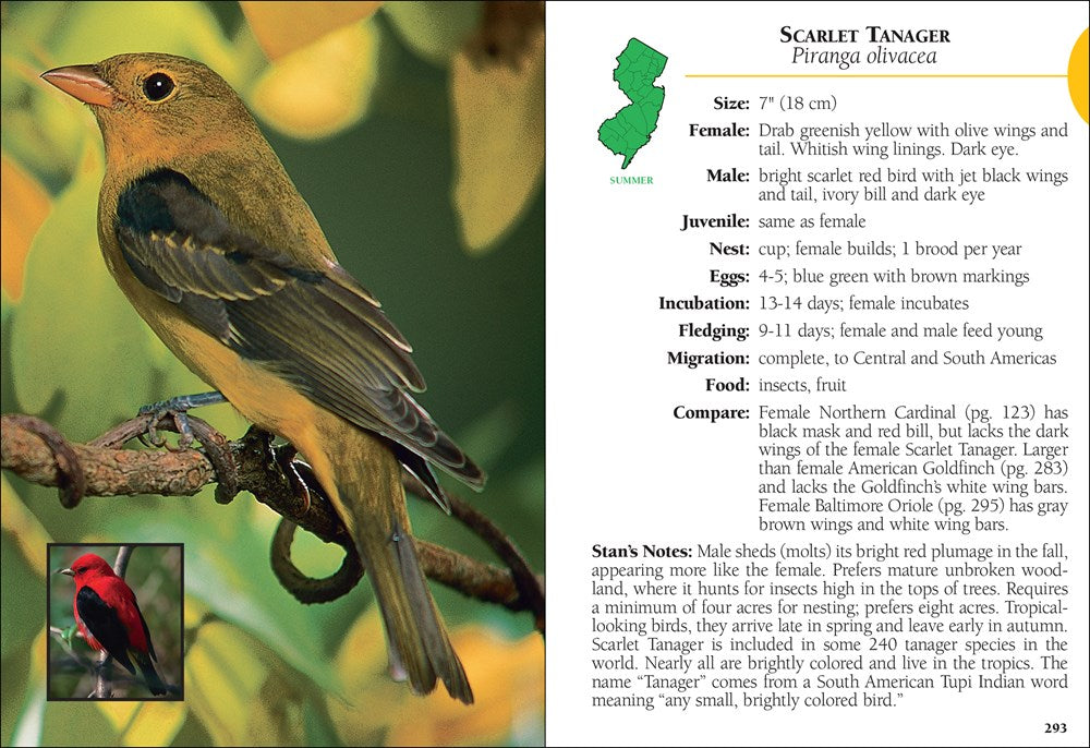 Birds of New Jersey Field Guide