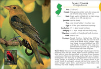 Birds of New Jersey Field Guide