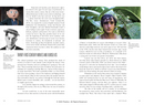 The Story of Film (Revised Edition)