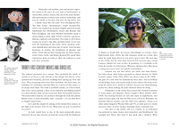 The Story of Film (Revised Edition)