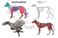 Fundamentals of Creature Design