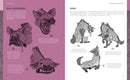 Creating Stylized Animals