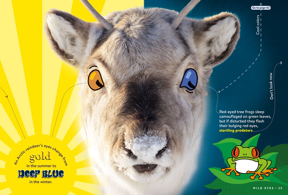 Animal FACTopia!