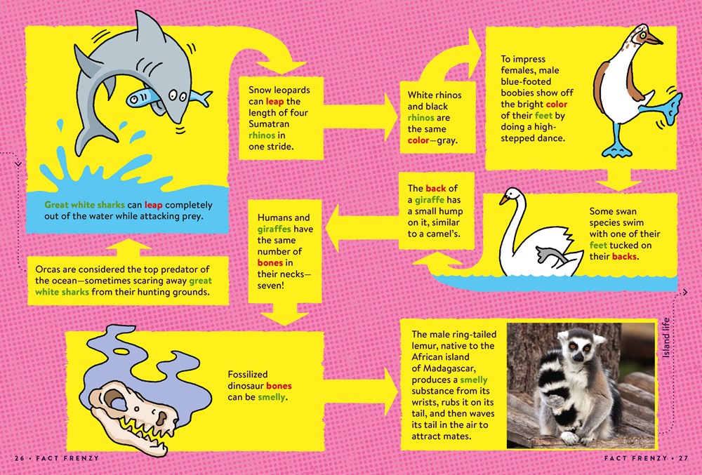 Animal FACTopia!