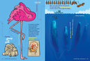 Animal FACTopia!