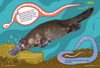 Animal FACTopia!
