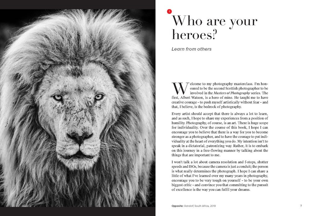 David Yarrow