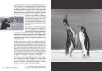David Yarrow