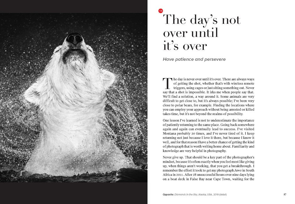 David Yarrow