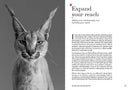 David Yarrow