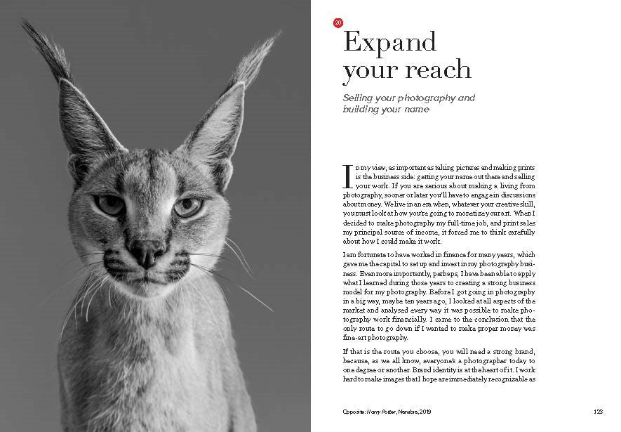David Yarrow