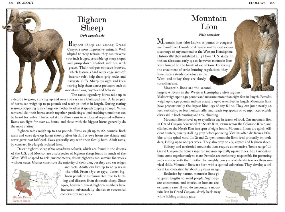 Grand Canyon: The Complete Guide
