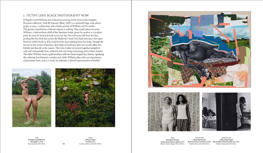 Young, Gifted and Black: A New Generation of Artists: The Lumpkin-Boccuzzi Family Collection of Contemporary Art