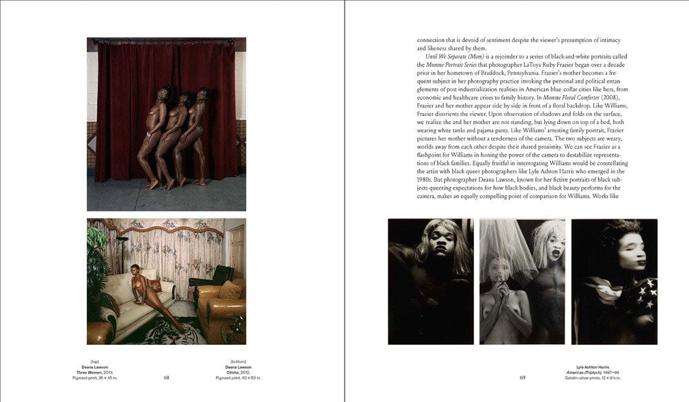 Young, Gifted and Black: A New Generation of Artists: The Lumpkin-Boccuzzi Family Collection of Contemporary Art