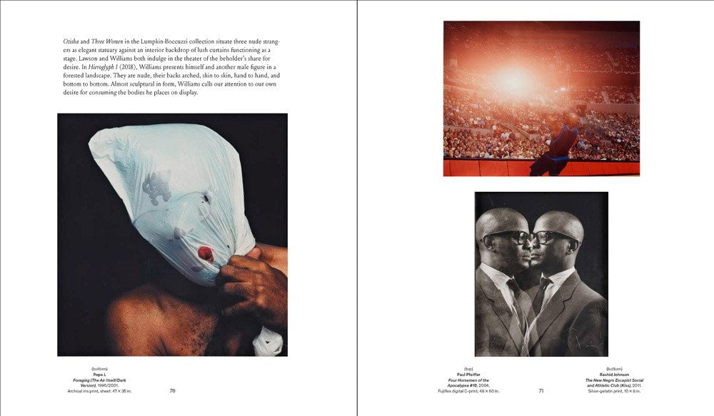 Young, Gifted and Black: A New Generation of Artists: The Lumpkin-Boccuzzi Family Collection of Contemporary Art