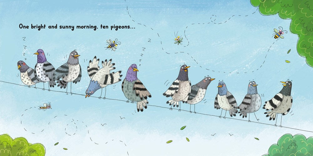 Pigeon Math