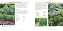 The Foodscape Revolution