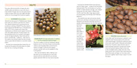 The Foodscape Revolution