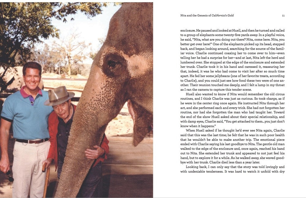 Louie, Take a Look at This!